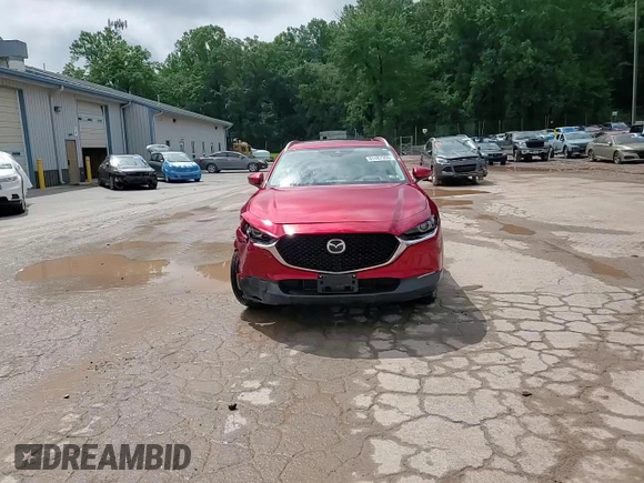 2021 Mazda CX-30 Premium with VIN 3MVDMBDL6MM254805, listed as a Copart auction lot 61487955 with 43,125 mi miles and Salvage title. Bid and sale history available at DreamBid. Image 14.