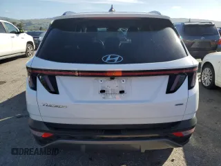 2023 Hyundai Tucson Limited with VIN 5NMJECAE2PH226388, listed as a Copart auction lot 49289915 with 22,220 mi miles and Salvage Title. Bid and sale history available at carsss.com. Image 6.