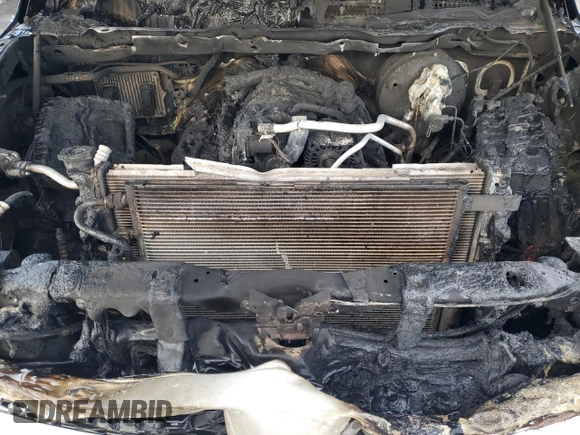 2018 Ram 1500 Tradesman with VIN 1C6RR7FT6JS328236, listed as a Copart auction lot 42829415 with Not provided miles and Salvage title. Bid and sale history available at DreamBid. Image 11.