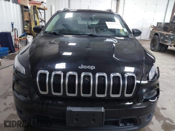 2017 Jeep Cherokee Latitude with VIN 1C4PJMCB1HW536996, listed as a IAAI auction lot 41497354 with 114,166 mi miles and . Bid and sale history available at DreamBid. Image 12.