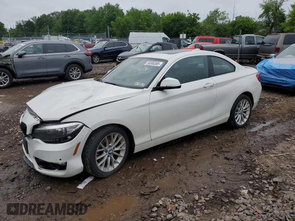2016 BMW 2 Series 228i xDrive with VIN WBA1G9C53GV599188, listed as a Copart auction lot 59300385 with Not provided miles and Salvage title. Bid and sale history available at DreamBid. Image 1.