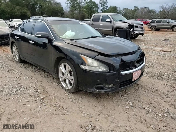 2012 Nissan Maxima 3.5 SV with VIN 1N4AA5AP8CC860795, listed as a Copart auction lot 45210545 with 176,581 mi miles and Salvage Title. Bid and sale history available at carsss.com. Image 10.
