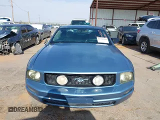 2005 Ford Mustang Deluxe with VIN 1ZVFT80N655158524, listed as a IAAI auction lot 42341019 with 169,878 mi miles and . Bid and sale history available at DreamBid. Image 13.