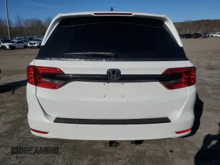 2021 Honda Odyssey EX-L with VIN 5FNRL6H78MB019258, listed as a Copart auction lot 52496285 with 33,734 mi miles and Salvage Title. Bid and sale history available at DreamBid. Image 6.