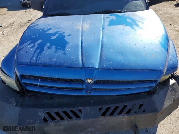 2000 Dodge Ram 1500 with VIN 3B7HF13Z9YG148639, listed as a Copart auction lot 87698355 with 273,328 mi miles and Salvage Title. Bid and sale history available at carsss.com. Image 11.