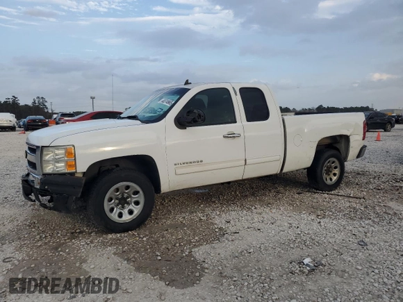 2010 Chevrolet Silverado 1500 LS with VIN 1GCSCREA9AZ272646, listed as a Copart auction lot 48374965 with 290,276 mi miles and Salvage Title. Bid and sale history available at carsss.com. Image 1.
