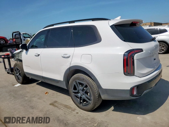 2024 Kia Telluride EX with VIN 5XYP3DGC8RG476579, listed as a Copart auction lot 64183345 with 22,523 mi miles and Salvage title. Bid and sale history available at DreamBid. Image 2.