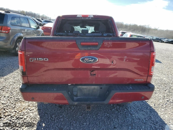 2016 Ford F-150 XLT with VIN 1FTEW1EF8GFB94842, listed as a Copart auction lot 49693255 with 105,289 mi miles and Salvage Title. Bid and sale history available at carsss.com. Image 6.