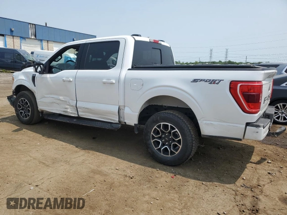 2023 Ford F-150 XL with VIN 1FTEW1EP7PFB66555, listed as a Copart auction lot 59384665 with 28,495 mi miles and Salvage title. Bid and sale history available at DreamBid. Image 2.