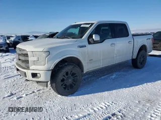 2017 Ford F-150 XL with VIN 1FTEW1EG0HFA61440, listed as a Copart auction lot 88525075 with 109,491 mi miles and Salvage Title. Bid and sale history available at carsss.com. Image 1.