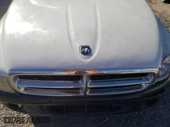 1999 Dodge Dakota SLT with VIN 1B7GG22Y6XS119274, listed as a Copart auction lot 46947005 with 264,537 mi miles and Salvage Title. Bid and sale history available at DreamBid. Image 11.