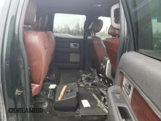 2013 Ford F-150 with VIN 2ATE01102DKD97632, listed as a Copart auction lot 49815235 with Not provided miles and Salvage title. Bid and sale history available at DreamBid. Image 10.