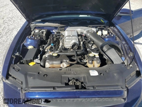 2010 Ford Mustang GT500 with VIN 1ZVBP8JS1A5105926, listed as a Copart auction lot 77398504 with 63,699 mi miles and Salvage title. Bid and sale history available at DreamBid. Image 13.