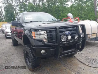 2010 Ford F-150 XL with VIN 1FTEX1EW7AFA75331, listed as a IAAI auction lot 42226258 with 203,234 mi miles and . Bid and sale history available at DreamBid. Image 1.