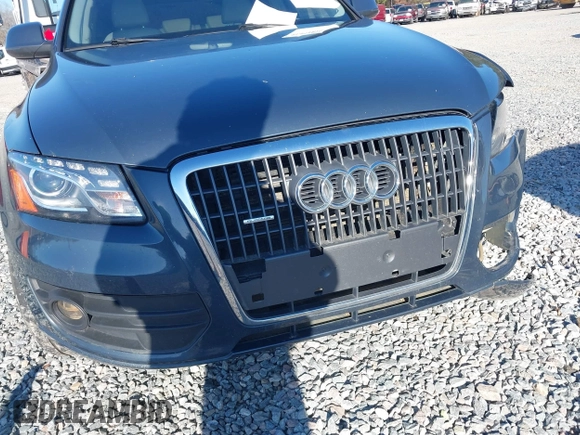 2009 Audi Q5 Premium Plus z VIN WA1KK78R79A030922, wystawiony jako IAAI lot #41451822 z przebiegiem 227 757 mil mil oraz . Historia ofert i sprzedaży dostępna na DreamBid. Obrazek 6.