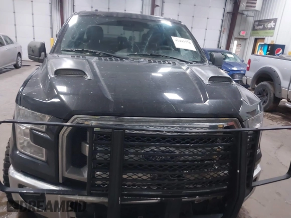 2015 Ford F-150 XLT with VIN 1FTFX1EF9FFB74356, listed as a IAAI auction lot 41443778 with 168,086 mi miles. Bid and sale history available at carsss.com. Image 12.
