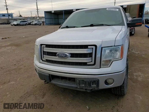 2014 Ford F-150 XL with VIN 1FTFW1ET2EFB47717, listed as a Copart auction lot 49323155 with 141,969 mi miles and Salvage title. Bid and sale history available at DreamBid. Image 10.