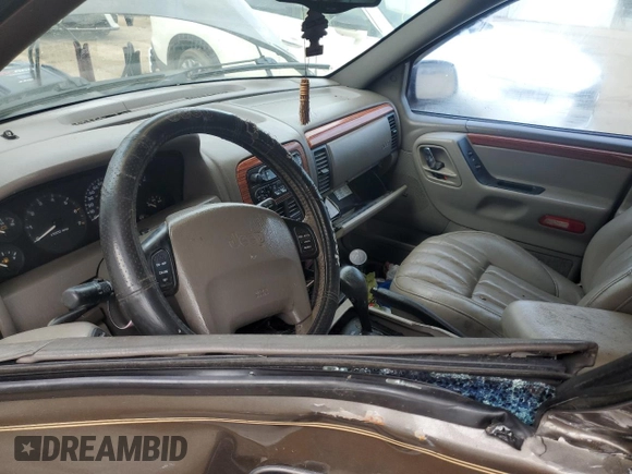 1999 Jeep Grand Cherokee Limited with VIN 1J4G268S3XC728805, listed as a Copart auction lot 79878974 with 206,768 mi miles and Salvage title. Bid and sale history available at DreamBid. Image 7.