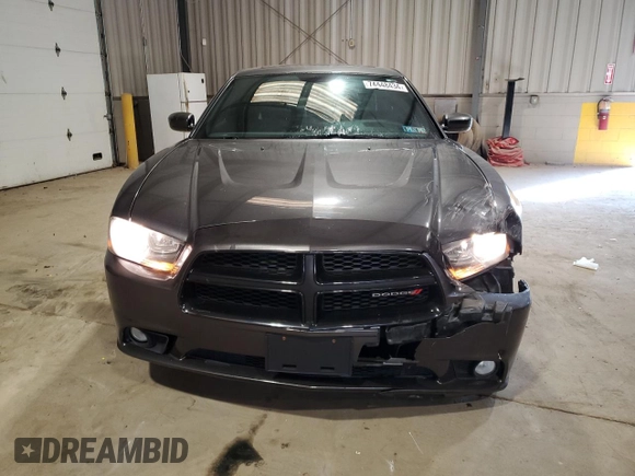2014 Dodge Charger SXT Plus with VIN 2C3CDXJG3EH372512, listed as a Copart auction lot 74448434 with 99,046 mi miles and Salvage Title. Bid and sale history available at carsss.com. Image 5.