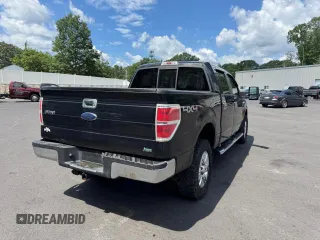 2010 Ford F-150 XL with VIN 1FTFW1EV0AFB73518, listed as a Copart auction lot 62685025 with 125,449 mi miles and Clean title. Bid and sale history available at DreamBid. Image 3.