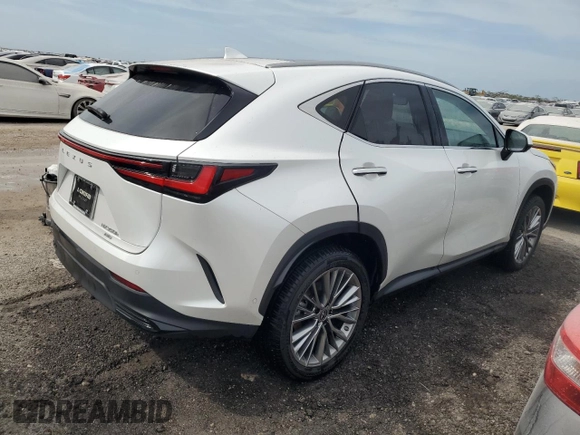 2022 Lexus NX with VIN JTJHKCEZ1N5002627, listed as a Copart auction lot 74983514 with 19,228 mi miles and Non Repairable. Bid and sale history available at carsss.com. Image 3.