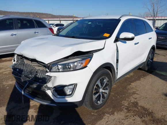 2017 Kia Sorento EX V6 with VIN 5XYPH4A56HG222220, listed as a IAAI auction lot 41330218 with 189,235 mi miles. Bid and sale history available at carsss.com. Image 18.