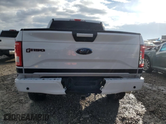 2017 Ford F-150 XL z VIN 1FTEW1EF2HFB14386, wystawiony jako Copart lot #45220125 z przebiegiem 161 838 mil mil oraz Szkoda całkowita • Salvage title. Historia ofert i sprzedaży dostępna na DreamBid. Obrazek 6.