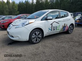 2016 Nissan LEAF S with VIN 1N4BZ0CP3GC307667, listed as a Copart auction lot 54147633 with 18,907 mi miles. Bid and sale history available at carsss.com. Image 1.