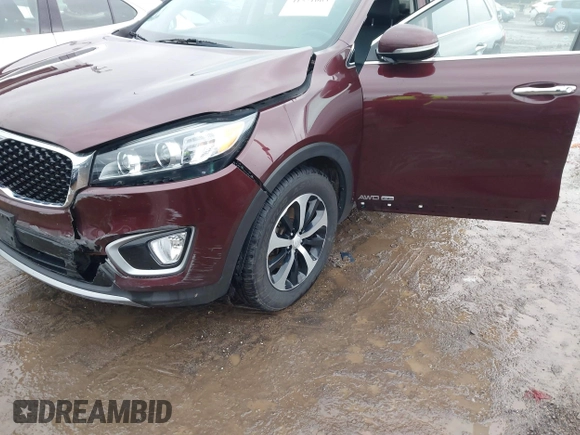 2018 Kia Sorento EX with VIN 5XYPHDA52JG363646, listed as a IAAI auction lot 41521063 with 166,449 mi miles and . Bid and sale history available at carsss.com. Image 6.