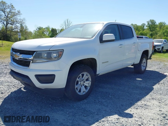 2018 Chevrolet Colorado 2WD LT with VIN 1GCGSCEN5J1164743, listed as a IAAI auction lot 42065381 with 192,264 mi miles and . Bid and sale history available at DreamBid. Image 18.