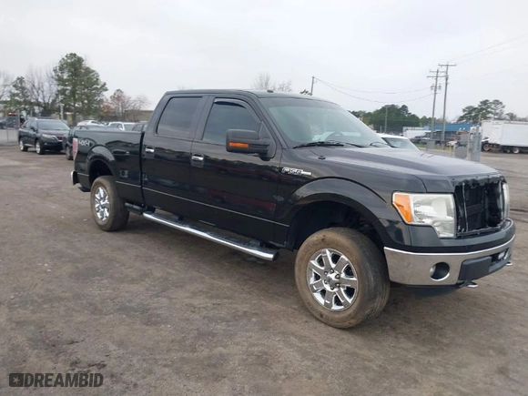 2013 Ford F-150 XL with VIN 1FTFW1EFXDFB72129, listed as a IAAI auction lot 41854942 with 225,538 mi miles. Bid and sale history available at carsss.com. Image 1.