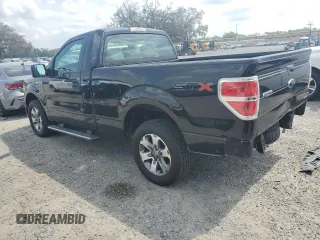 2013 Ford F-150 XL with VIN 1FTMF1CF8DKD40156, listed as a Copart auction lot 50408735 with 120,437 mi miles and Salvage title. Bid and sale history available at DreamBid. Image 2.