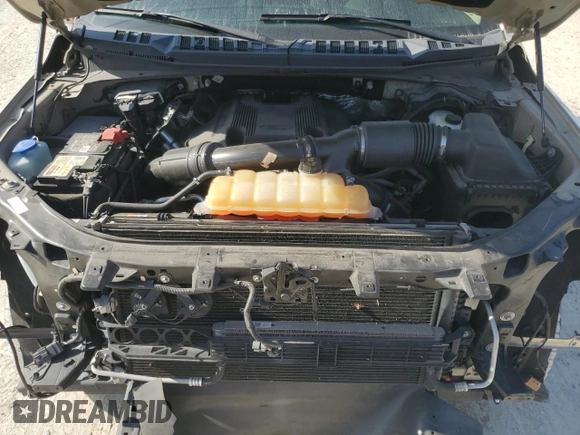 2017 Ford F-150 XL with VIN 1FTEW1EG3HFB06449, listed as a Copart auction lot 53503655 with 62,539 mi miles and Salvage Title. Bid and sale history available at carsss.com. Image 11.