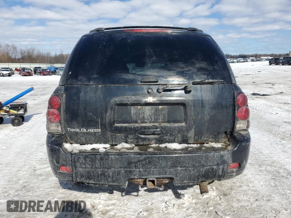 2008 Chevrolet TrailBlazer 1LT with VIN 1GNDT13S782123152, listed as a Copart auction lot 45971355 with 229,630 mi miles and Salvage Title. Bid and sale history available at DreamBid. Image 6.