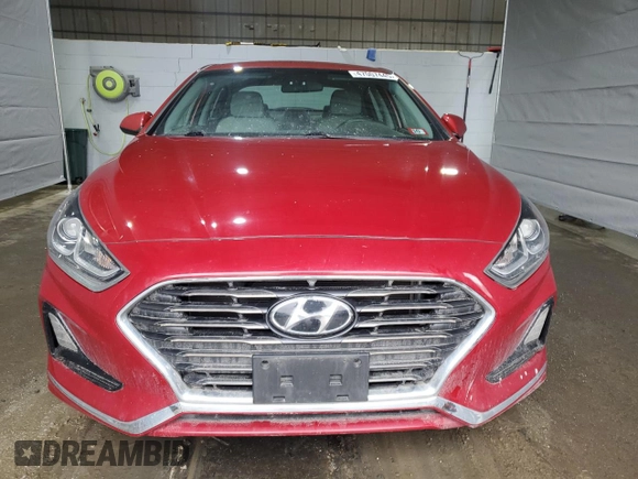 2019 Hyundai Sonata SE with VIN 5NPE24AF1KH745579, listed as a Copart auction lot 47007445 with 48,980 mi miles and Salvage Title. Bid and sale history available at carsss.com. Image 5.