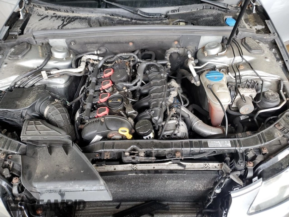 2009 Audi A4 Premium Plus with VIN WAUSF78K69N031319, listed as a Copart auction lot 55624215 with Not provided miles and Salvage title. Bid and sale history available at DreamBid. Image 11.