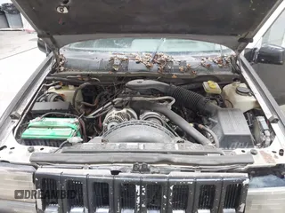 1994 Jeep Grand Cherokee Limited with VIN 1J4GZ78Y8RC165923, listed as a IAAI auction lot 42275894 with 247,977 mi miles and . Bid and sale history available at DreamBid. Image 10.