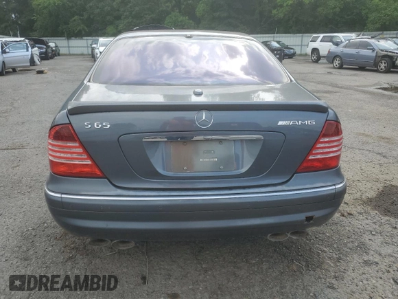 2006 Mercedes-Benz S with VIN WDBNG79J66A464238, listed as a Copart auction lot 55443835 with Not Provided miles and Salvage Title. Bid and sale history available at DreamBid. Image 6.