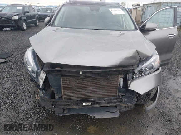 2017 Kia Sorento EX with VIN 5XYPHDA50HG309241, listed as a IAAI auction lot 41799412 with 104,890 mi miles and . Bid and sale history available at DreamBid. Image 6.