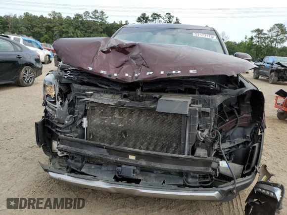 2020 Kia Telluride EX with VIN 5XYP34HC2LG065510, listed as a Copart auction lot 57177175 with 134,675 mi miles and Salvage title. Bid and sale history available at DreamBid. Image 5.
