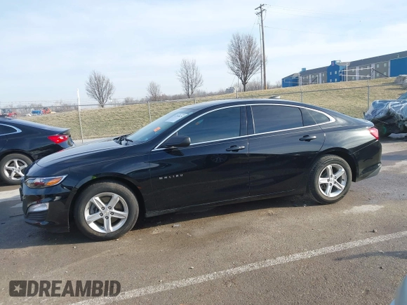 2019 Chevrolet Malibu LS with VIN 1G1ZB5ST0KF215845, listed as a IAAI auction lot 41769675 with 81,912 mi miles and . Bid and sale history available at DreamBid. Image 14.