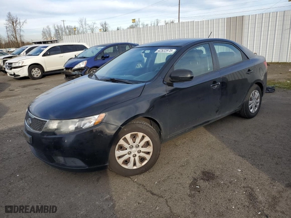 2013 Kia Forte EX with VIN KNAFU4A20D5676282, listed as a Copart auction lot 42522975 with NaN miles and Salvage Title. Bid and sale history available at carsss.com. Image 1.
