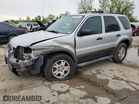 2006 Ford Escape XLT with VIN 1FMCU93156KA73772, listed as a Copart auction lot 55658445 with 217,335 mi miles and Salvage title. Bid and sale history available at DreamBid. Image 1.