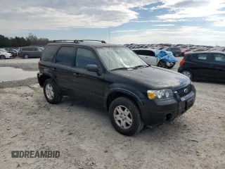 2006 Ford Escape Limited with VIN 1FMCU04196KA18798, listed as a Copart auction lot 50420725 with 113,425 mi miles and Clean title. Bid and sale history available at DreamBid. Image 4.