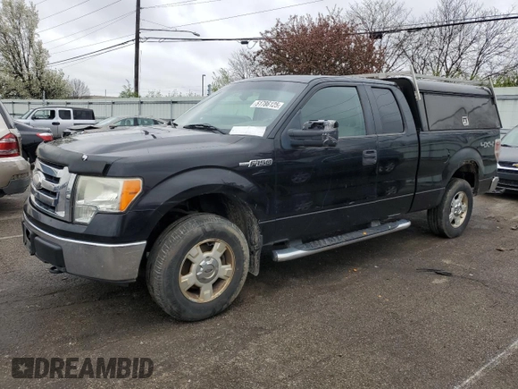2009 Ford F-150 STX with VIN 1FTRX14849FB10391, listed as a Copart auction lot 51786125 with 263,228 mi miles and Salvage Title. Bid and sale history available at carsss.com. Image 1.