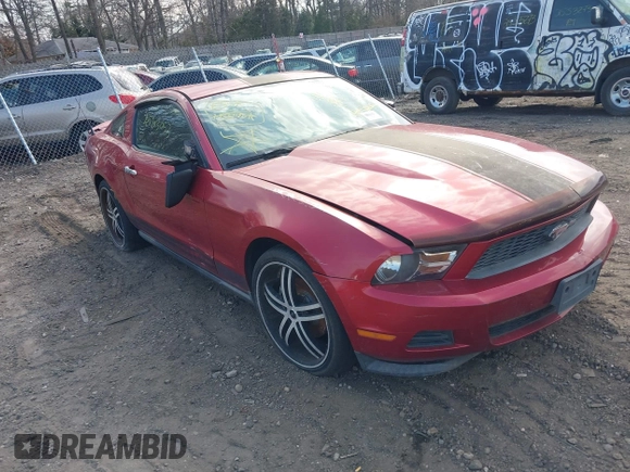 2011 Ford Mustang V6 with VIN 1ZVBP8AM6B5115712, listed as a IAAI auction lot 41918263 with Not provided miles and . Bid and sale history available at DreamBid. Image 1.