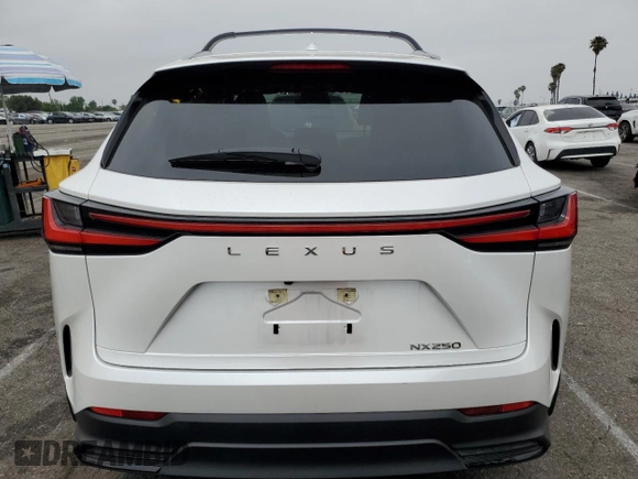 2023 Lexus NX 250 with VIN JTJADCAZ5P5011769, listed as a Copart auction lot 59917725 with 21,887 mi miles and Salvage title. Bid and sale history available at DreamBid. Image 6.