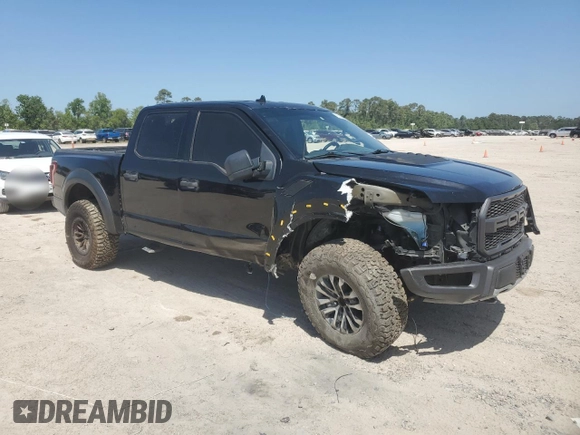 2019 Ford F-150 Raptor with VIN 1FTFW1RG0KFB43691, listed as a Copart auction lot 51160605 with 174,785 mi miles and Salvage Title. Bid and sale history available at carsss.com. Image 4.