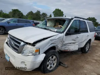 2010 Ford Expedition SSV with VIN 1FMJU1G53AEB07947, listed as a Copart auction lot 58580095 with Not provided miles and Non repairable. Bid and sale history available at DreamBid. Image 1.