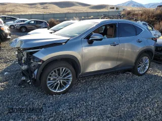 2024 Lexus NX with VIN 2T2HKCEZ8RC027709, listed as a Copart auction lot 87768135 with 0 mi miles and Salvage Title. Bid and sale history available at carsss.com. Image 1.